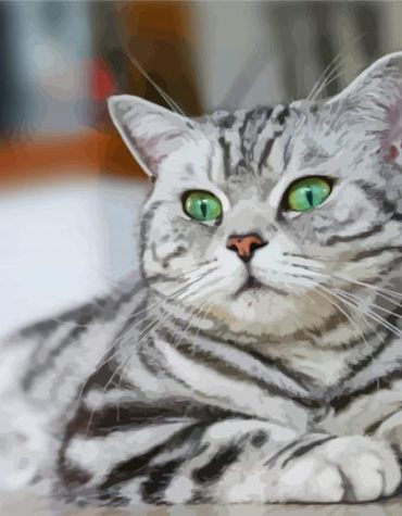 Aesthetic British Shorthair Cat Paint By Numbers