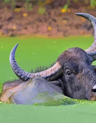 Aesthetic Buffalo in Water Paint By Numbers