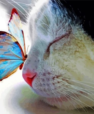 Aesthetic Cat and Butterfly Encounter Paint By Numbers