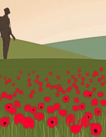 Flanders Fields Poppies Paint By Numbers
