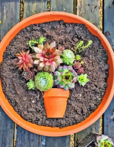 Mini Succulent Garden Paint By Numbers