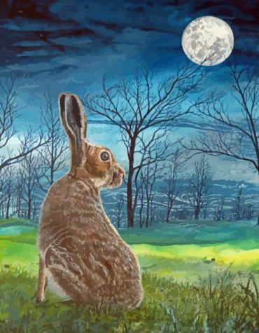 Aesthetic Moon Hare Paint By Numbers