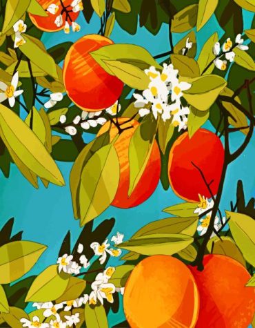 Aesthetic Orange Grove Paint By Numbers