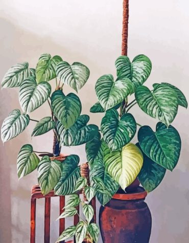 Aesthetic Philodendron Plant Paint By Numbers
