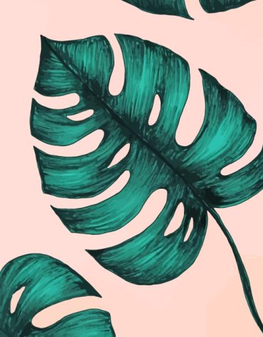 Aesthetic Leaf Art Paint By Numbers