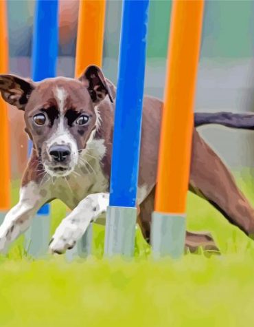 Aesthetic Puppies Paint By Numbers