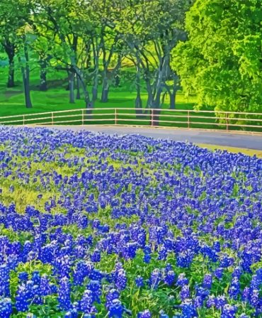 Aesthetic Texas Bluebonnets Fields Paint By Numbers