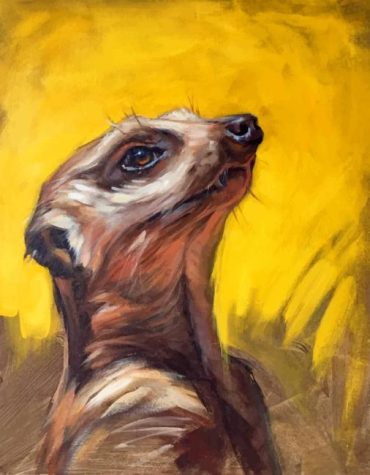 Aesthetic Meerkat Art Paint By Numbers