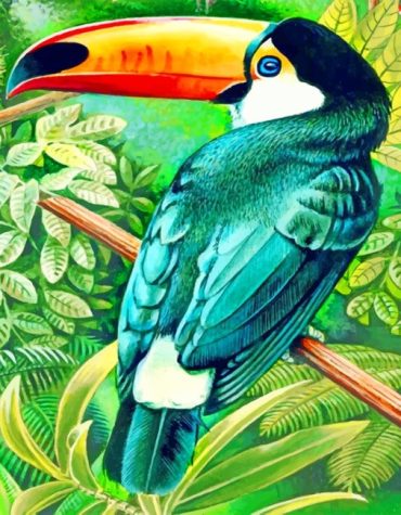 Aesthetic Toucan Paint By Numbers