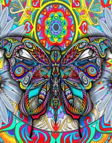 Aesthetic Bohemian Butterfly Paint By Numbers