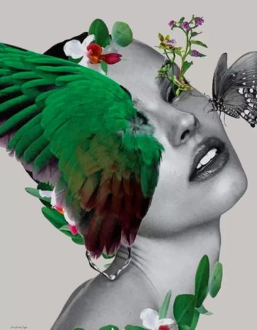 Aesthetic Butterfly Woman Paint By Numbers