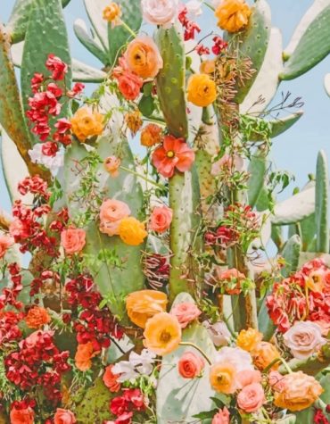 Aesthetic Cactus Garden Paint By Numbers