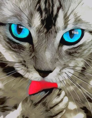 Aesthetic Grey Cat Paint By Numbers