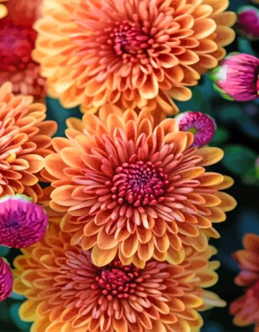 Chrysanthemum Flower Art Paint By Numbers