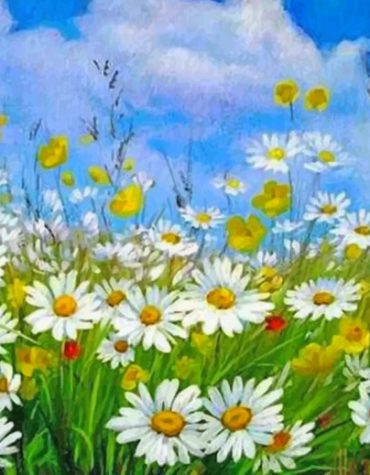 Aesthetic Daisy Field Paint By Numbers