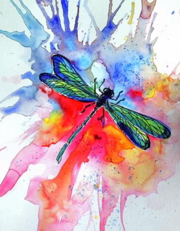 Colorful Dragonflies Paint By Numbers