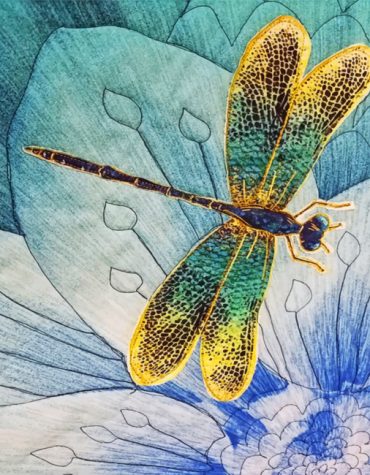Colorful Dragonfly Delight Paint By Numbers