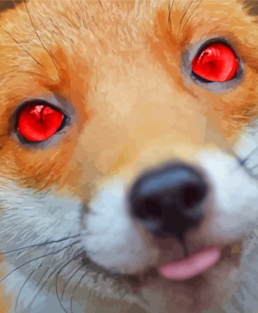 Aesthetic Red-Eyed Fox Paint By Numbers