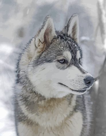 Aesthetic Husky Snow Paint By Numbers
