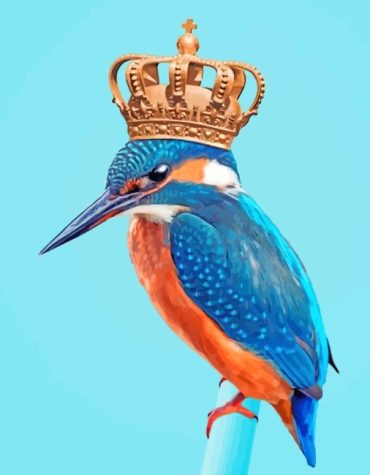 Aesthetic Kingfisher Birds Paint By Numbers