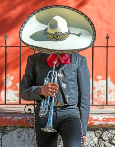 Aesthetic Mexican Man Paint By Numbers