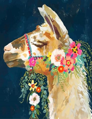 Aesthetic Llama Illustration Paint By Numbers