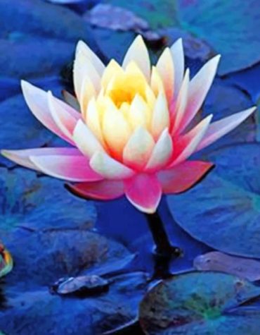 Aesthetic Lotus Flower Paint By Numbers