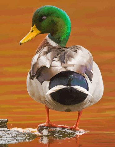 Aesthetic Mallard Ducks Paint By Numbers