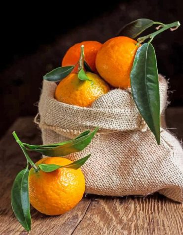 Aesthetic Mandarine Fruit Paint By Numbers