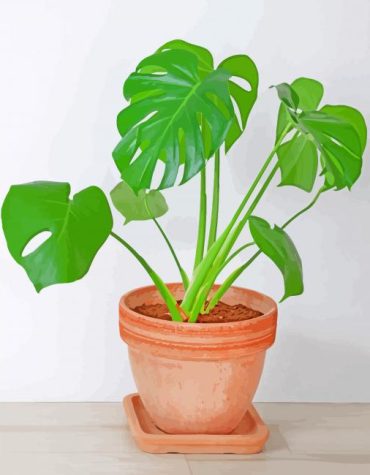 Philodendron Pot Style Paint By Numbers