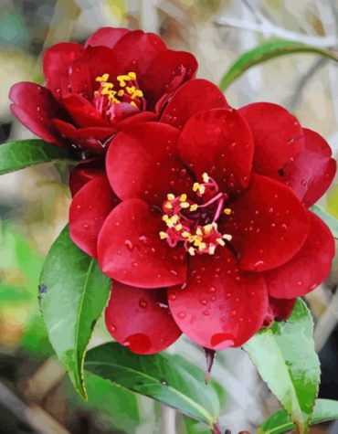 Aesthetic Pink Camellia Paint By Numbers