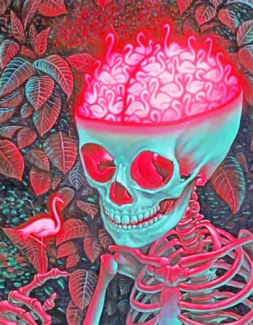 Aesthetic Skull Art Paint By Numbers