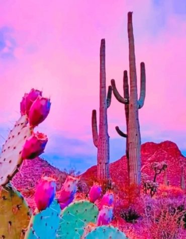 Aesthetic Desert Cactus Paint By Numbers