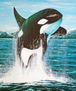 Majestic Killer Whale Paint By Numbers