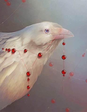 Aesthetic White Ravens Paint By Numbers
