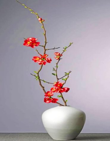 Red Flowers in White Vase Paint By Numbers