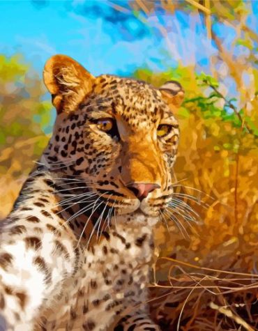 Aesthetic Wild Leopard Paint By Numbers