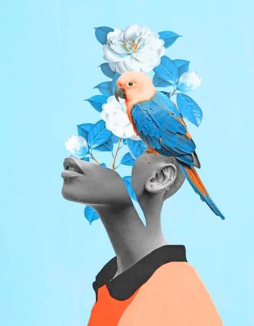 Afro Girl and Parrot Paint By Numbers