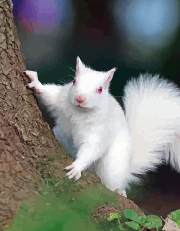 Albino Squirrel Wildlife Paint By Numbers