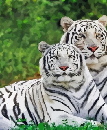 Albino Tiger Majesty Paint By Numbers