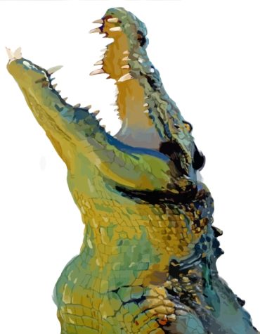 Alligator Wildlife Paint By Numbers