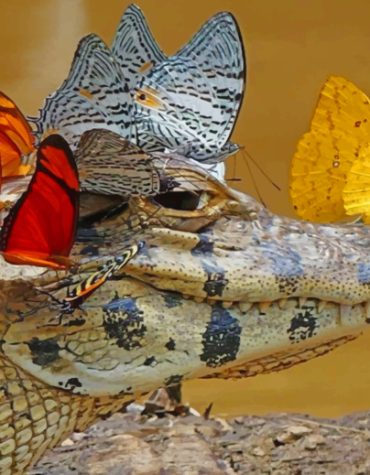 Alligator Wildlife Painting Paint By Numbers