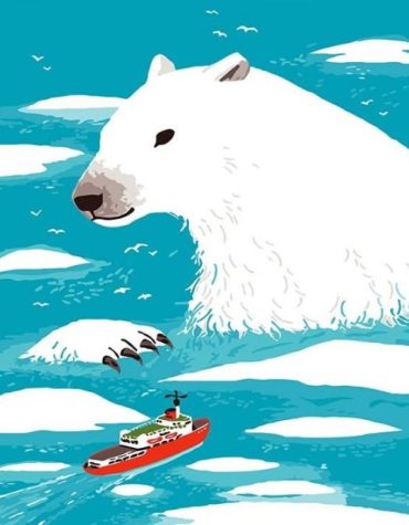 Polar Bear Arctic Scene Paint By Numbers