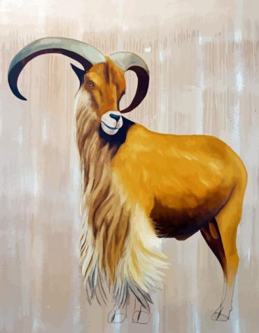 Aoudad Wildlife Paint By Numbers