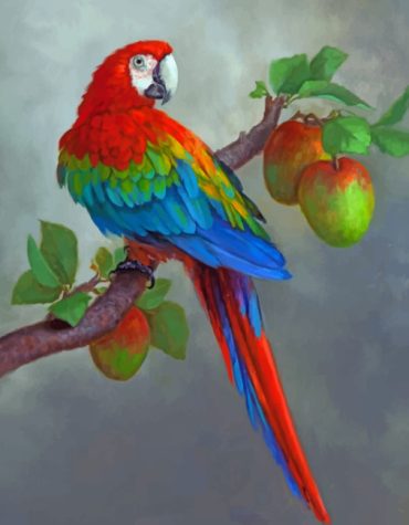Colorful Parrots and Apples Paint By Numbers