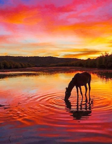 Horse Sunset Painting Set Paint By Numbers