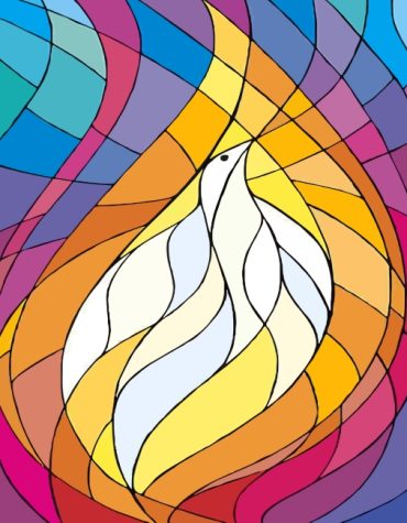 Colorful Birds Paint By Numbers