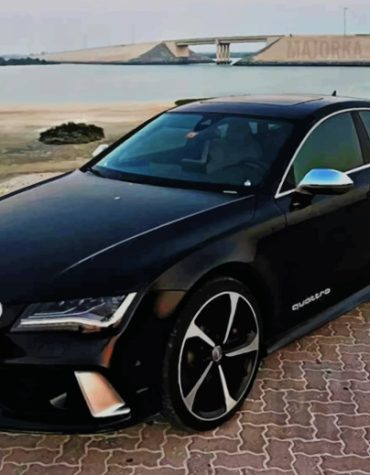 Audi Sports Car Masterpiece Paint By Numbers