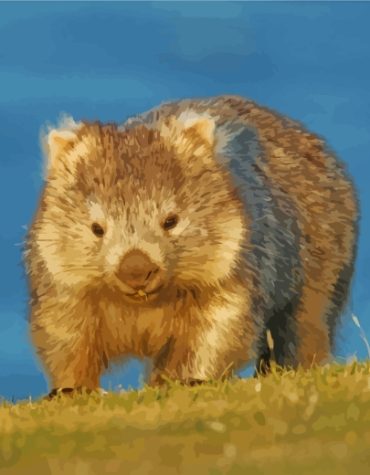 Australia Wombat Wildlife Paint By Numbers