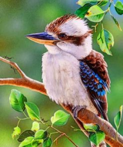 Blue Winged Kookaburra Paint By Numbers